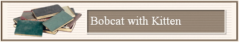 Bobcat with Kitten