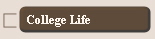 College Life