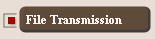 File Transmission