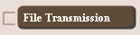 File Transmission