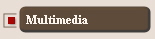 Multimedia