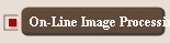 On-Line Image Processing