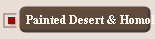 Painted Desert & Homolovi