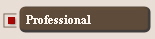 Professional