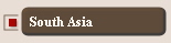 South Asia