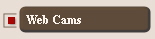 Web Cams