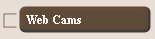 Web Cams